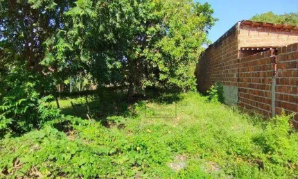 Terreno à venda, 224 m² - nossa senhora da apresentação - natal/rn - te0064