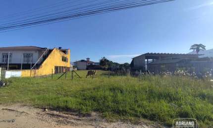 Terreno para alugar, 1201 m² por R$ 5.211,65/mês - Sertão do Maruim - São José/SC