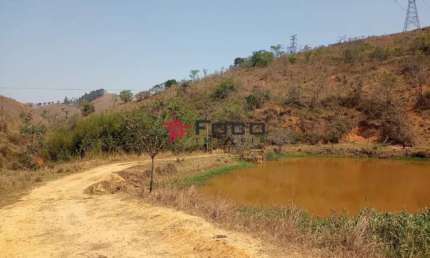 Fazenda de Eucalipto  e de Gado / 337 hectares / 02 casas (principal e empregados )  Escriturada / Areias - SP