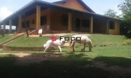 Fazenda à venda na Rodovia Dos Tamoios, Zona Rural, Paraibuna