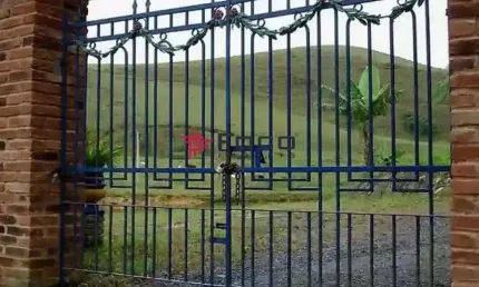 Fazenda histórica de 1832 / mobiliada, porteira fechada / escriturada / piscinas / lagos / nascentes / a 03 km do centro de piquete.