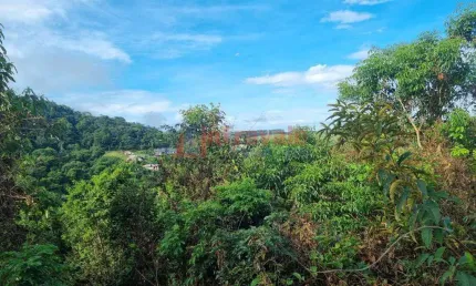 Terreno de Condomínio, Chácaras Condomínio Recanto Pássaros II, Jacareí - R$ 970 mil, Cod: 14623
