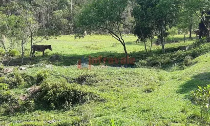 Fazenda com 3 quartos, pedra branca, caçapava - r$ 1.8 mi, cod: 10059