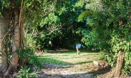 Oportunidade Imperdível! Terreno em Floripa! Condomínio Fechado – Duas Quadras da Praia!