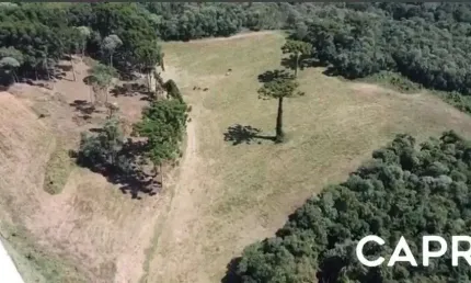 Terreno à venda na Pedro Carlos Ansolim, Jardim Bela Vista, Campo Largo por R$ 23.900.000