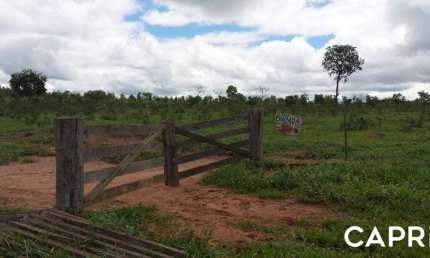 Fazenda à venda na Estadual MT 130, Zona Rural, Paranatinga por R$ 40.354.728