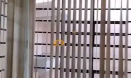 Casa térrea à venda, 2 quartos, 2 vagas, vila nair - são paulo/sp