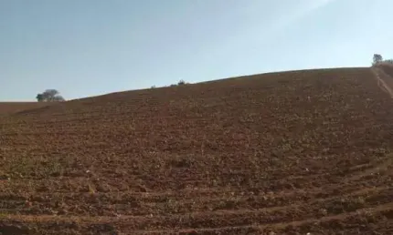 Chácara / sítio à venda na Rural, Zona Rural, Bueno Brandão