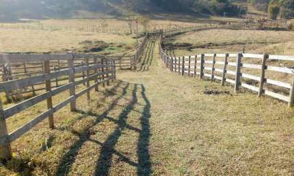 Sítio para Venda em Cambuí, RURAL, 2 dormitórios, 1 banheiro