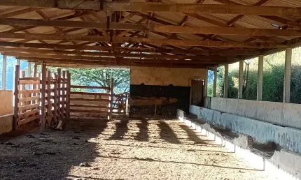 Fazenda à venda na Rua Assis Figueiredo, Centro, Poços de Caldas