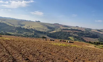 Fazenda com 1 sala à venda na Avenida Leonor Mendes de Barros, 1, Zona Rural, Divinolândia