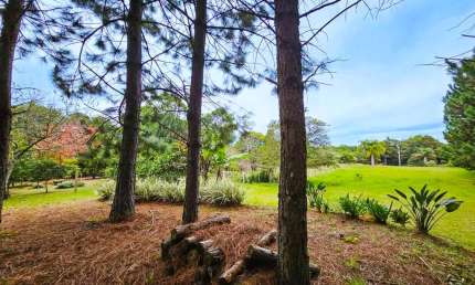 Área de Terras à Venda em Padre Eterno Ilges – Santa Maria do Herval!