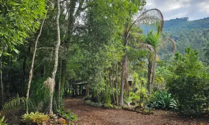Chácara / sítio à venda na Rodovia BR 116, Linha Gorgen, Morro Reuter
