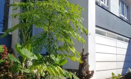 Casa à venda no bairro Desvio Rizzo - Caxias do Sul/RS