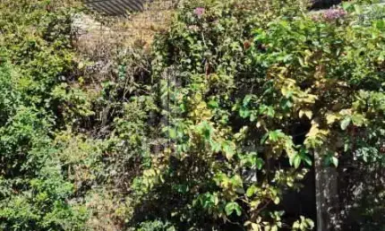Casa com 2 quartos à venda na Avenida Vicente de Carvalho, Vicente de Carvalho, Rio de Janeiro, 60 m2 por R$ 219.000