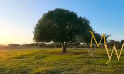 Fazenda à venda com 130.000 m² – Localização privilegiada.