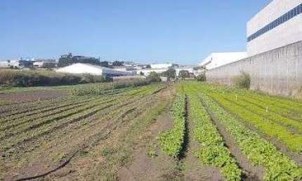 Terreno comercial à venda na Avenida Governador Mario Covas Junior, Portão, Arujá