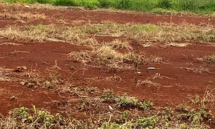 Terreno à Venda no Bom Jardim em Maringá-PR | 400 m  Pronto para Construir