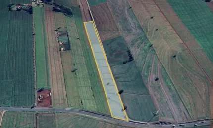 Chácara à venda, BR 444 - PROXIMO A ARAPONGAS - CACHARA NA BR 444