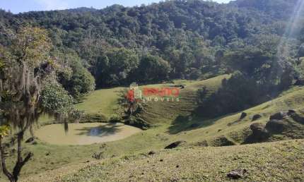 Terreno à venda na Estrada Rio Dos Tamancos, Betania, Angelina