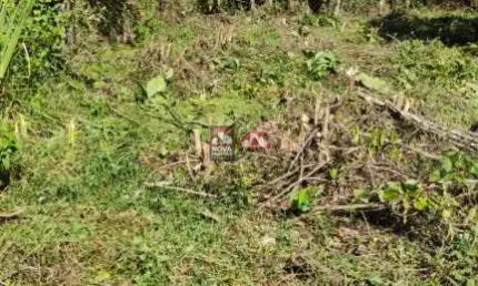Terreno à Venda no Balneário Recanto do Sol, Caraguatatuba ? Excelente Oportunidade! Venda á Vista e aceita estuda Proposta.
