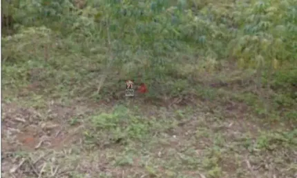 Terreno à venda na Rua José Rachid, S/Nº, Jardim Portugal, São José dos Campos