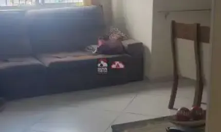 Apartamento com 3 quartos à venda na Rua Patativa, Bloco A, 100, Vila Industrial, São José dos Campos
