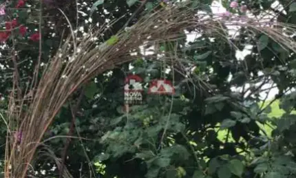 Casa com 3 quartos à venda na Avenida Jambeiro, Km 22,5, Tapanhao, Jambeiro