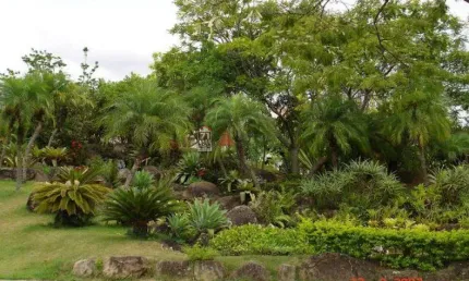 Casa com 5 quartos à venda na Rua Major Dietrich Ott, 261, Jardim das Colinas, São José dos Campos