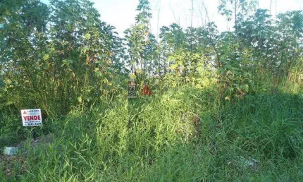 Terreno à venda na Rua dos Gerivas, 00, Parque Lago Azul, Pindamonhangaba