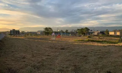 Terreno à venda na Avenida Nossa Senhora do Perpétuo Socorro, Nossa Senhora do Perpétuo Socorro, Pindamonhangaba
