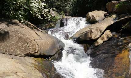 Chácara / sítio com 3 quartos à venda na Zona Rural, Inhumas 