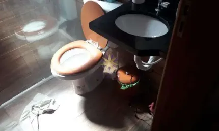 Casa com 2 quartos à venda no Jardim Maringa, São Paulo 