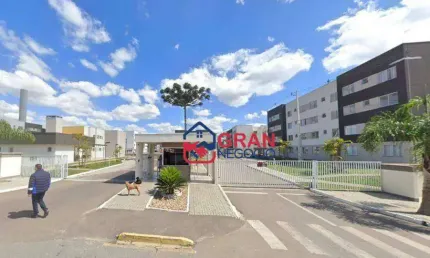 Apartamento com 2 dormitórios à venda - jardim itaqui - campo largo/pr