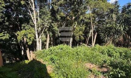 Terreno à venda, 550 m² por R$ 300.000,00 - Braunes - Nova Friburgo/RJ