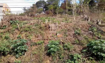 Terreno com 420mts² - valor r$ 180.000,00 - bairro cônego