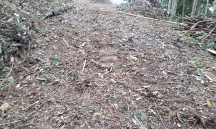 Ótimo terreno de 2231 mts²  no centro da cidade, perto de comércios locais