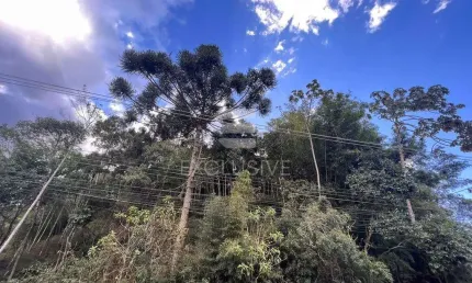Terreno à venda no Mury, Nova Friburgo 