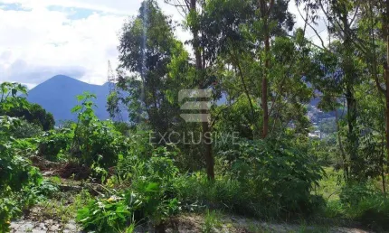 Terreno à venda no Braunes, Nova Friburgo 