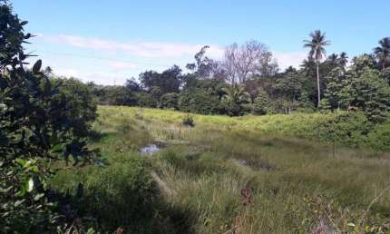 Fazenda para Venda em Camaçari, Monte Gordo (Monte Gordo)