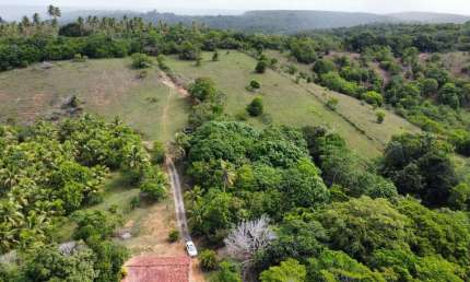 Fazenda para Venda em Camaçari, Barra do Pojuca (Monte Gordo)