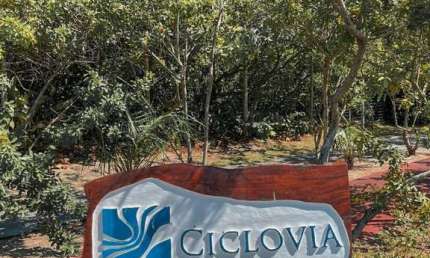 Terreno para Venda em Mata de São João, Praia do Forte