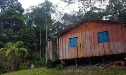 Sítio aconchegante na br 174, km 15, várias árvores frutíferas