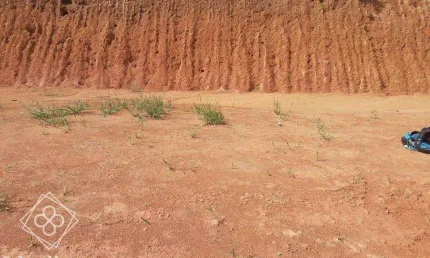 Lote para Venda em Barra do Piraí / RJ no bairro Ipiabas