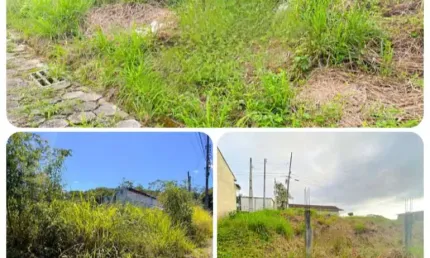 Terreno à venda no garcia, blumenau  por r$ 164.989