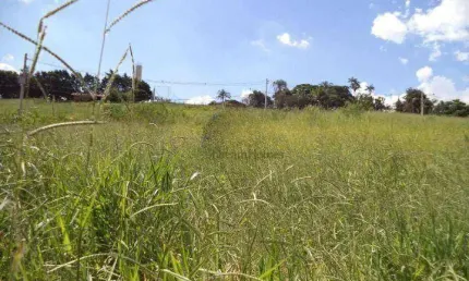Terreno residencial à venda, marambaia, vinhedo - te0570.