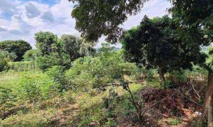 Terreno Residencial à venda, Pinheirinho, Vinhedo - TE0593.