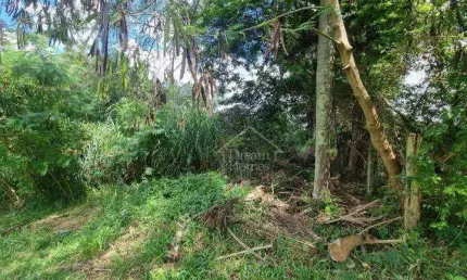 Terreno Residencial à venda, Cachoeira, Vinhedo - TE0663.