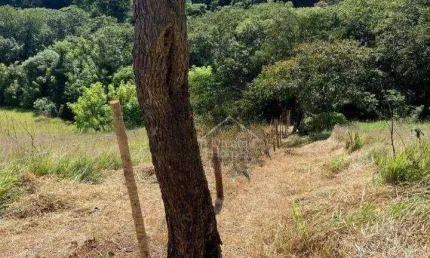 Área Comercial à venda, Quintas de Maria Elvira, Santana de Parnaíba - AR0068.