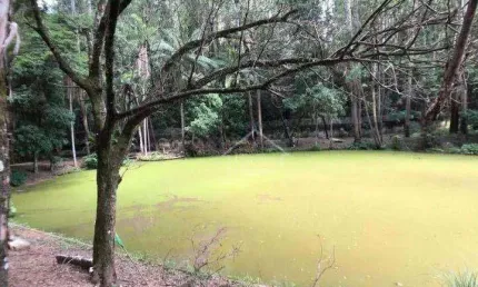 Área Comercial à venda, Vista Alegre, Vinhedo - AR0077.